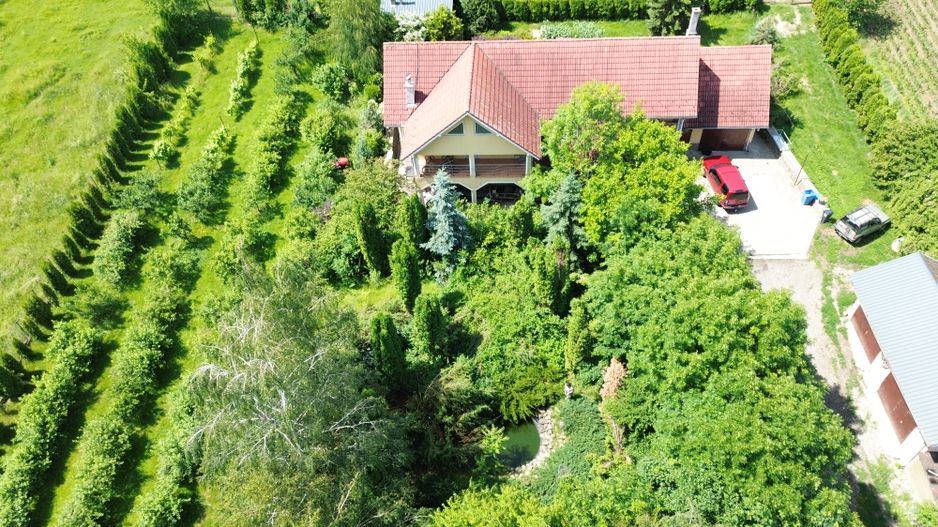 PROPRIETATE PREMIUM CU 4.534 MP TEREN- REGHIN STRADA POMETULUI - Poză 1