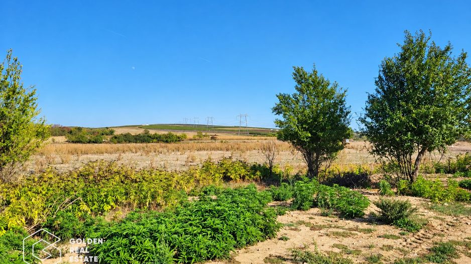 Teren intravilan, 7100 mp, Lipova - Poză 5