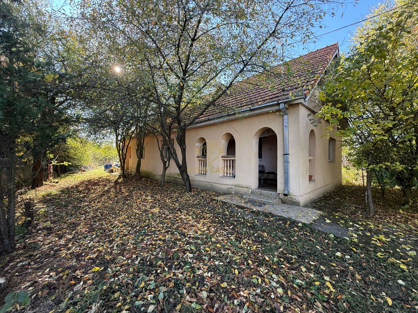 Se vinde! Casa de caramida cu Teren 4431 MP in RUSENI la 10km>SM - Poză 10