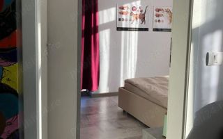 Apartament 2 camere Dumbravita etaj 2 - Poză 5