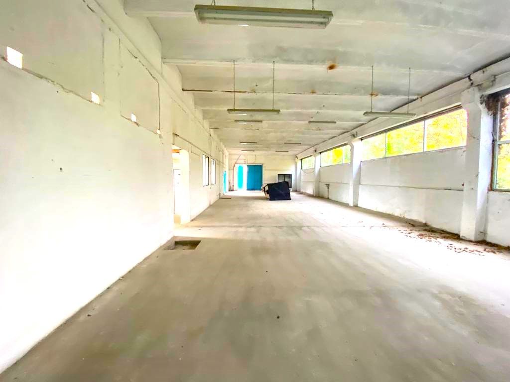 Hala de productie sau depozitare in Lugoj - Poză 1