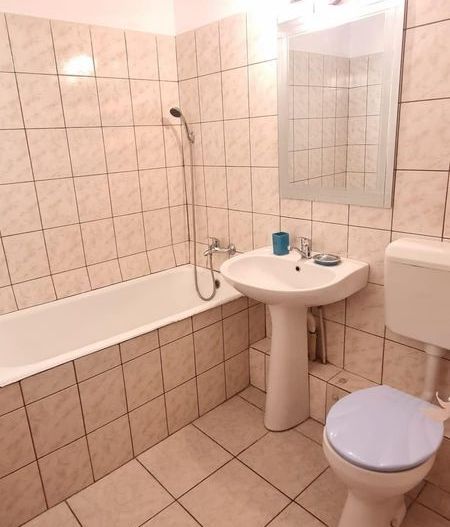 De inchiriat apartament 2 camere Nicolae  Grigorescu / Basarabia - Poză 4