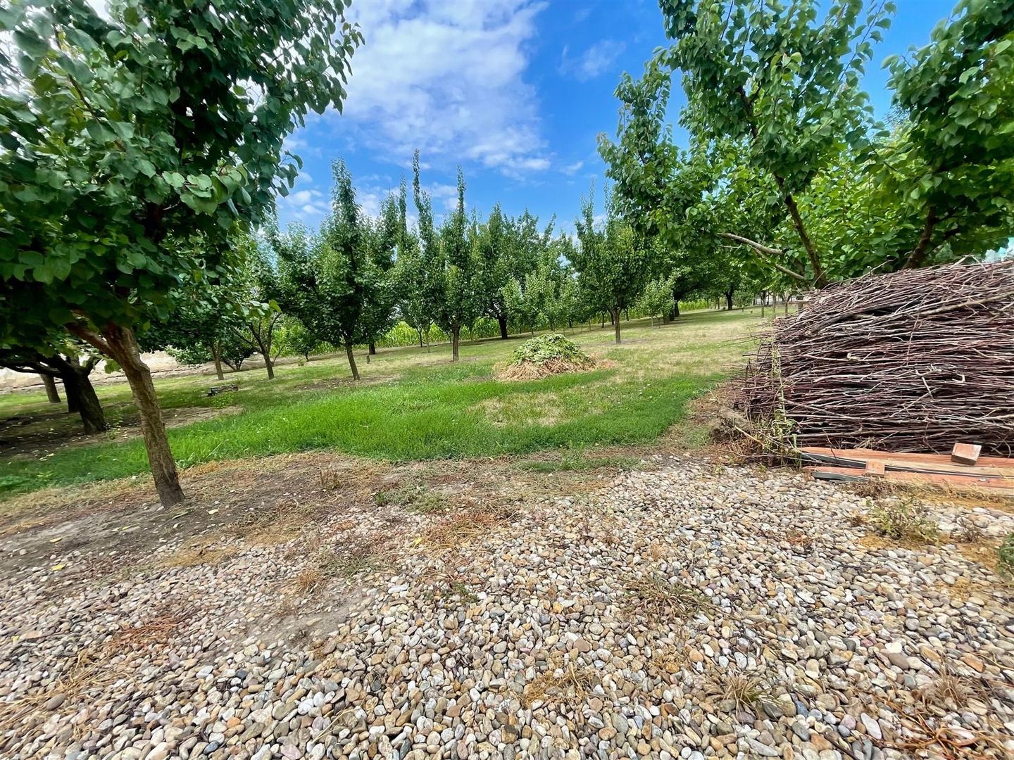 Casa cu 4 camere si livada la 25 km de Oradea - Poză 16