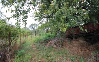 Teren de vânzare - 1900 mp Dumbravita - Poză 3