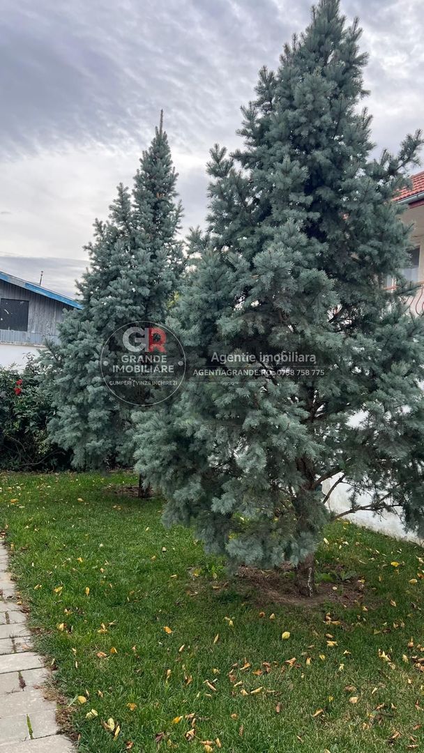 Spațiu de birouri de închiriat în Sud-Vest, Tulcea - Poză 14