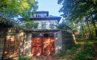 TEREN INTRAVILAN | FRATĂUȚII NOI | 1.1 HA - Poză 11