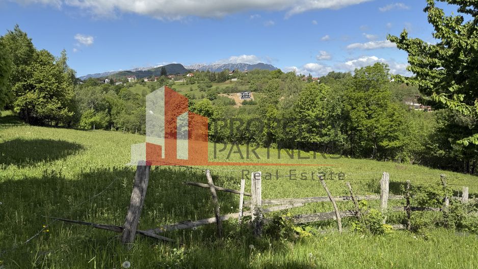 Teren Bran Sohodol 6700 mp - Poză 10