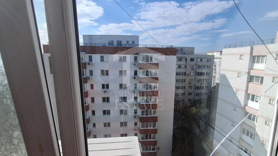 Teiul Doamnei- Apartament 2 camere decomandat | Etaj 10/10 - Poză 14