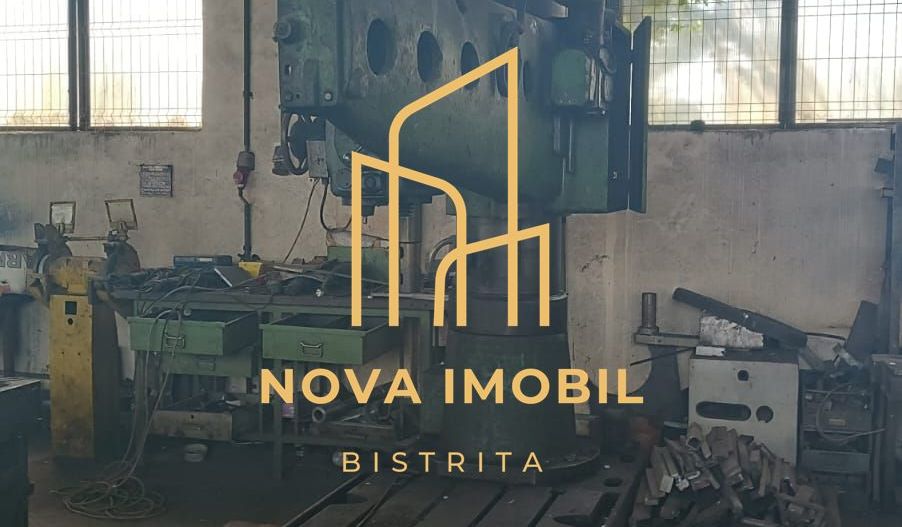 Hala-spatiu industrial de vanzare, Bistrita-Nasaud, Lechinta - Poză 15