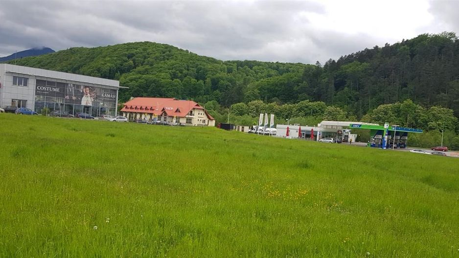 In evantaiul padurii, 750mp teren - Poză 14