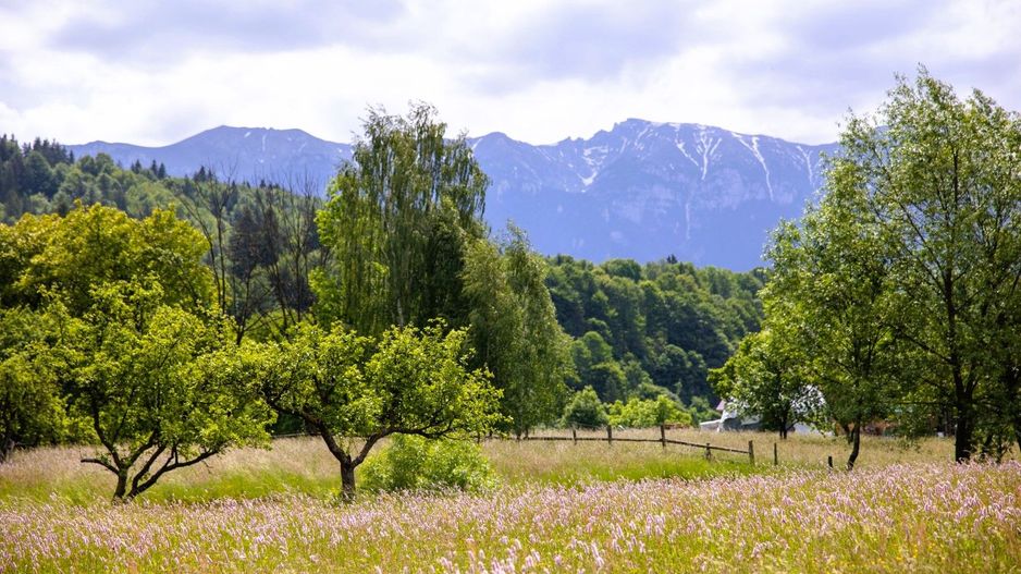 Teren intravilan plat in Bran, 1000 mp, vedere către Bucegi, utilitati - Poză 1