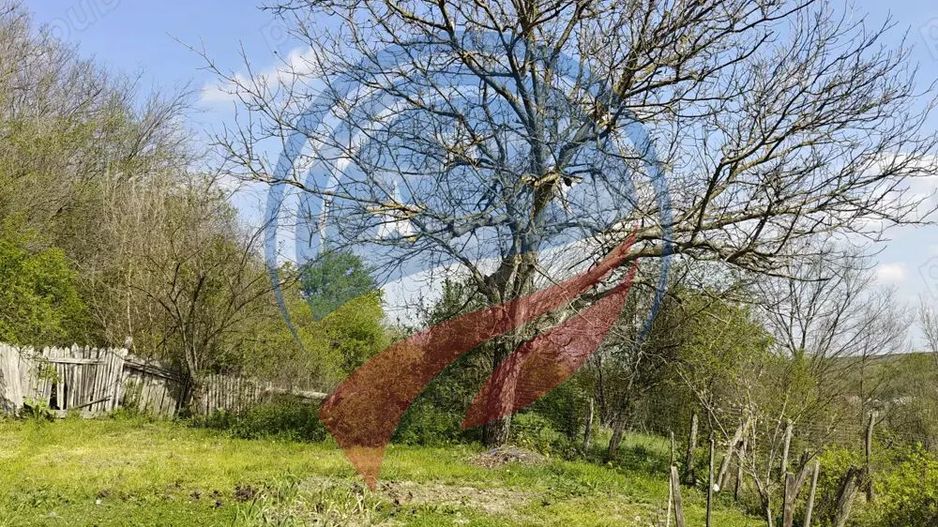 CASA LA 20 KM DE CRAIOVA CU 10000 MP. TEREN - Poză 3