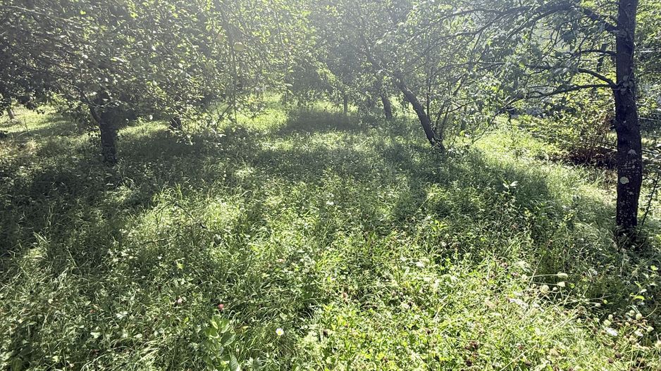 Casa interbelică cu arhitectură deosebită+Anexa și teren 1570 mp - Poză 34