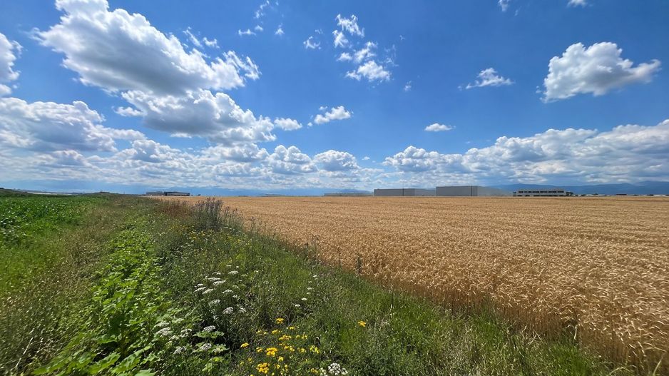 Teren intravilan 38.676 mp | 10 parcele | Zona de Vest - Poză 3