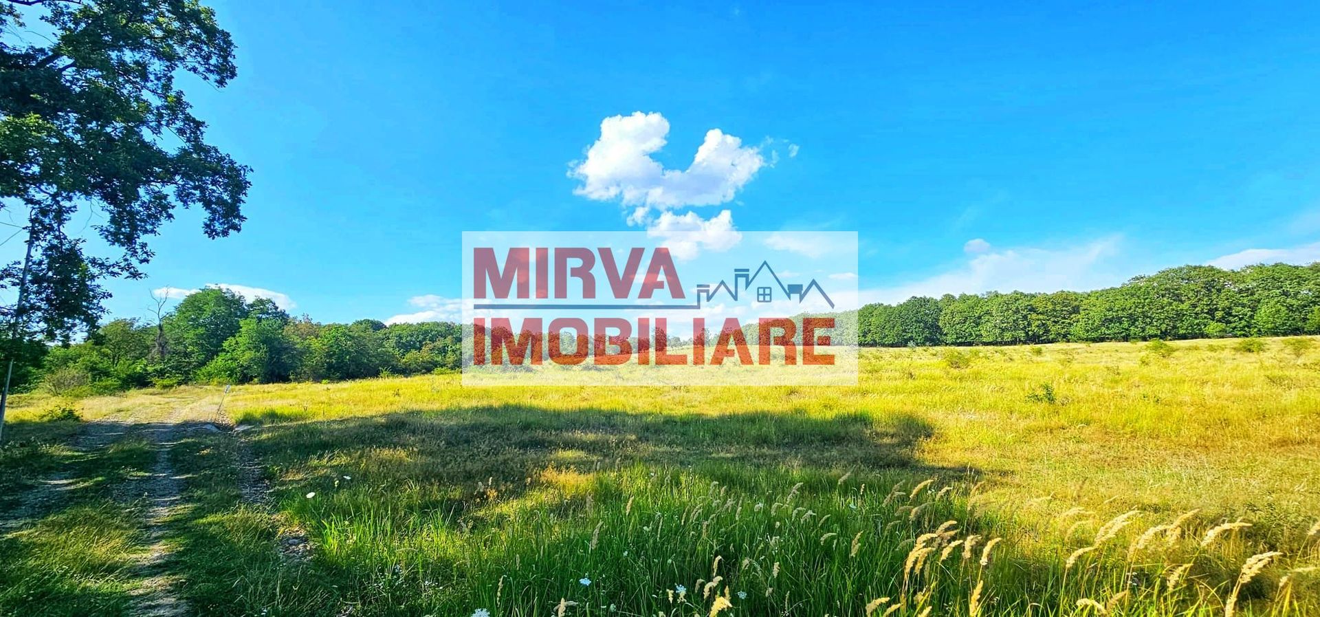 Teren intravilan construibil 3.500 mp Păcureți | UTR 6, P+2, POT 30% - Poză 5