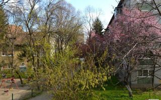 1 camera, decomandat, Take Ionescu - Vasile Lucaciu ! Centrala proprie. - Poză 1