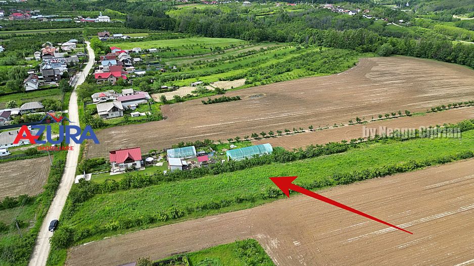 AZURA Imobiliare - Teren Mosoaia - Poză 7