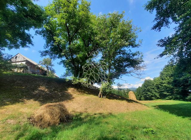 Teren 2.7ha- pretabil cabana/casa-Rebrisoara-EXCLUSIVITATE - Poză 1