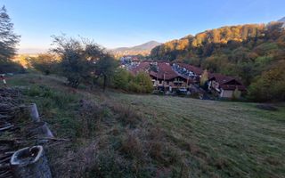 Teren intravilan Brasov Strada Ciresului 2900 mp - Poză 7