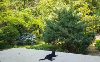 VANZARE VILA | PADUREA BANEASA | 158MP | 5 CAMERE | CURTE-LOC PARCARE - Poză 3