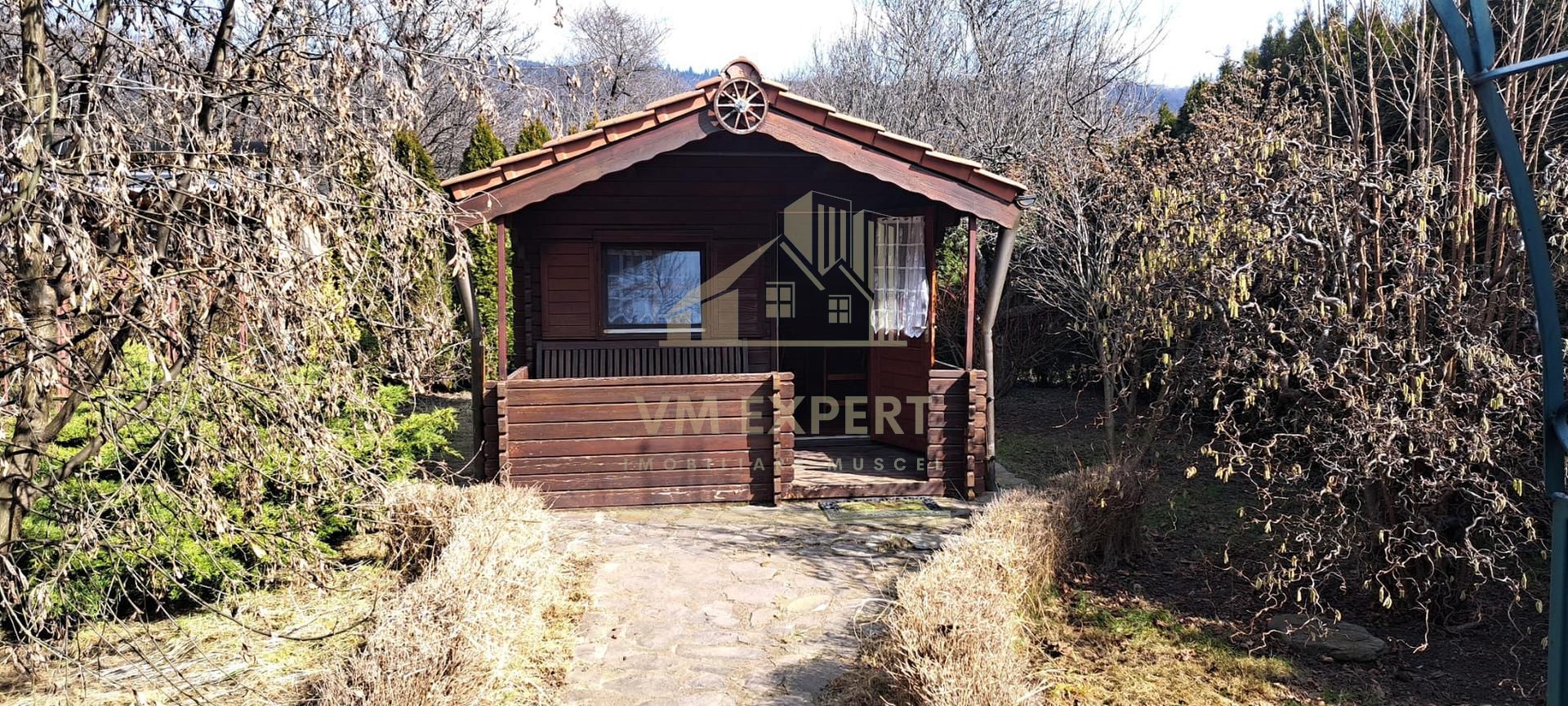 VILA 5 CAMERE, TEREN 4520 MP, LERESTI, ARGES - Poză 20