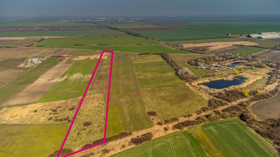 Teren Agricol Extravilan 14300 mp - Poză 4