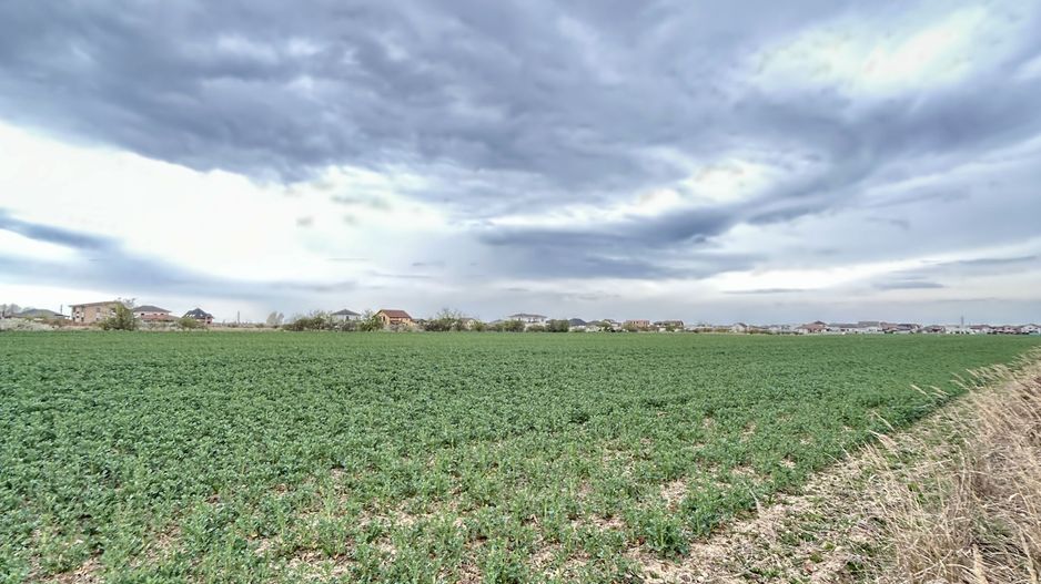 Teren premium 4000 mp – Cartier Grigorescu - Poză 3