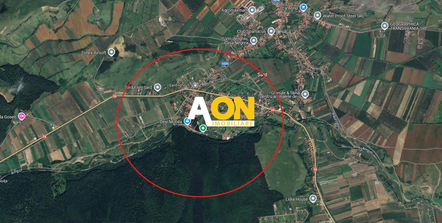 Teren INTRAVILA INDUSTRIAL Sard, Suprafata 13000 mp - Poză 3