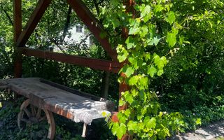 Ocazie unică! Casă de vânzare în stațiunea Covasna! - Poză 27