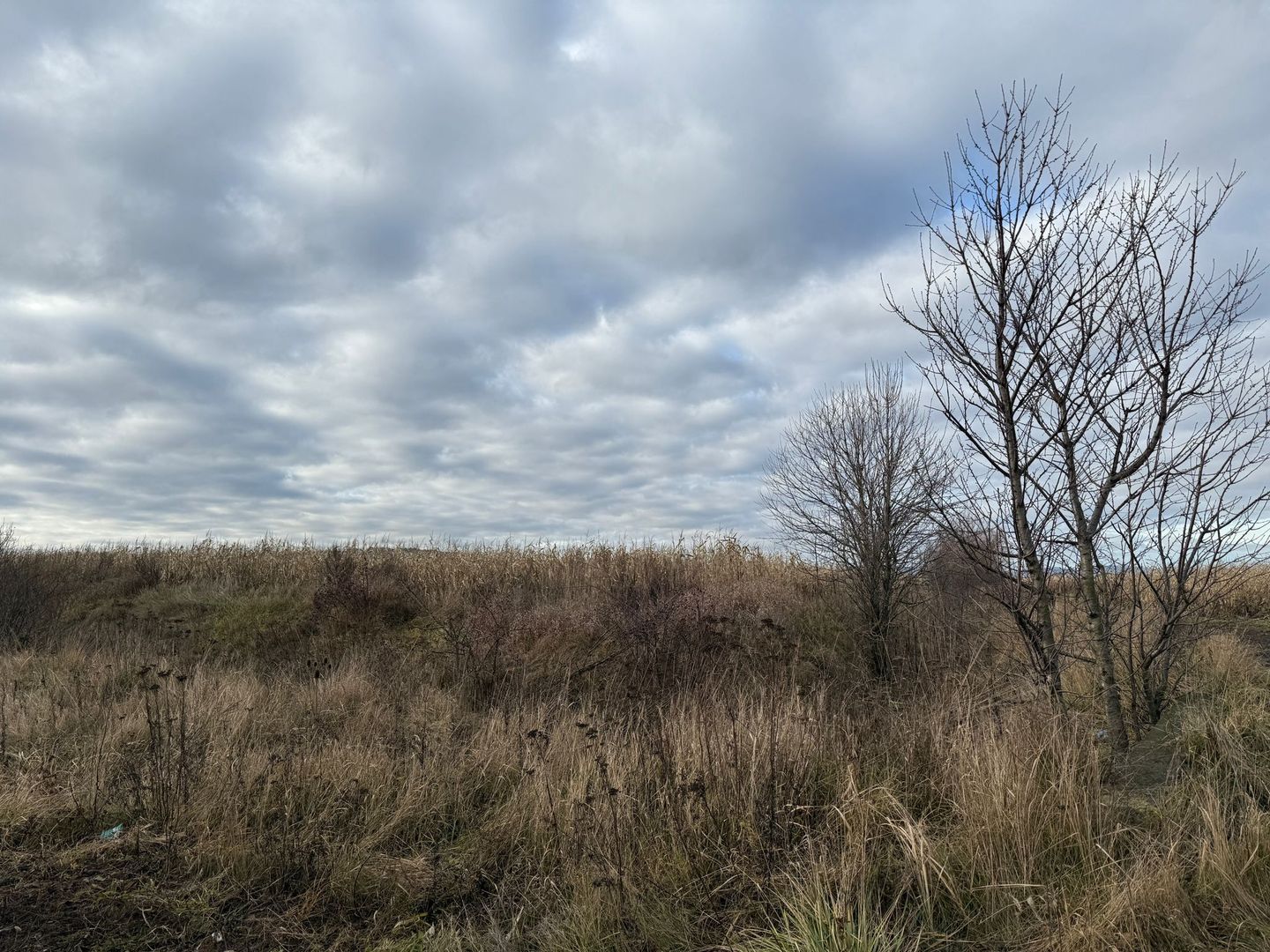 VAND TEREN 46 ARI | VOLOVAT | 47.000 EURO | - Poză 9