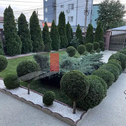 Vilă de lux de închiriat – ideală pentru afaceri - Poză 5