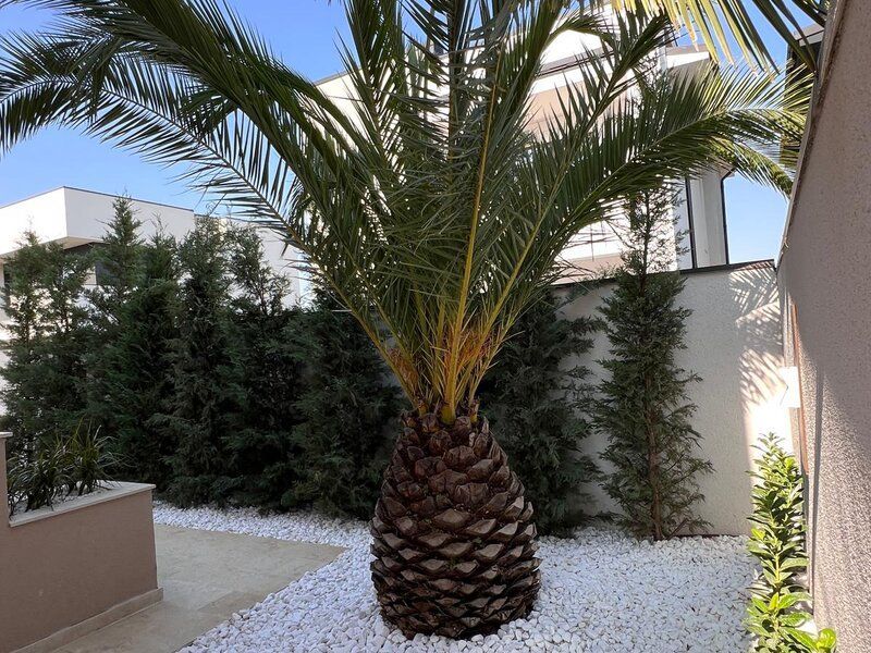 Casă / Vilă de vânzare în Central, Pantelimon - Poză 10