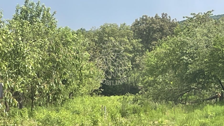 Casa 354 mp utili-teren 2200 mp-ideal business-anexa-Viisoara - Poză 4