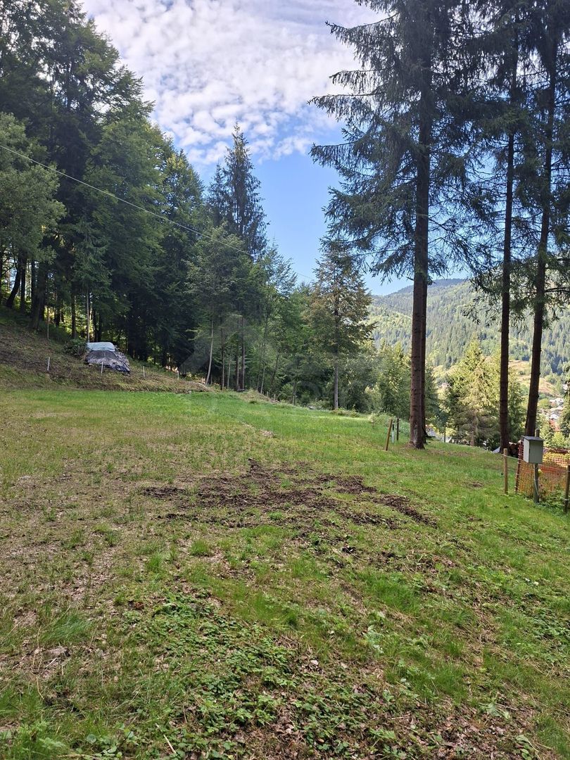 Teren intravilan la munte - Poză 3