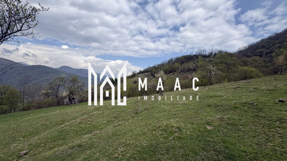 Teren de vânzare, 7750 mp I Orientare sudică I Caineni - Poză 2
