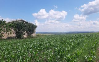 Teren cu spații industriale sau depozitare - Poză 3