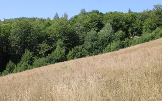 Terenuri Carpinis I parcelabil I Curent pe proprietati - Poză 63