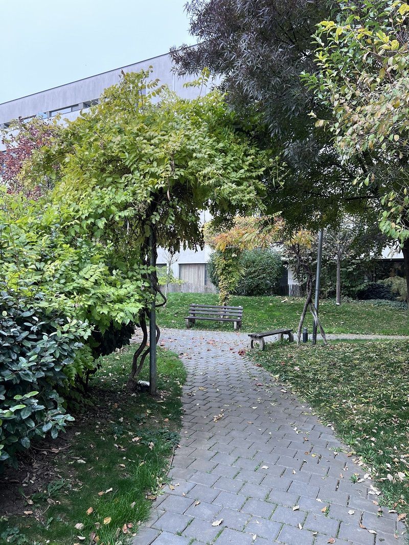 3 camere cu Gradina Proprie Sector 1 - Mall Colosseum - Poză 25