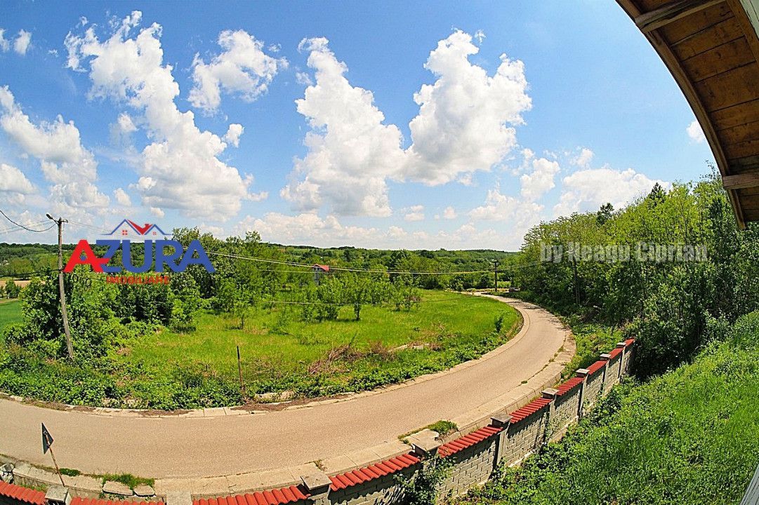 Vanzare vila Albota - Mares - Poză 7