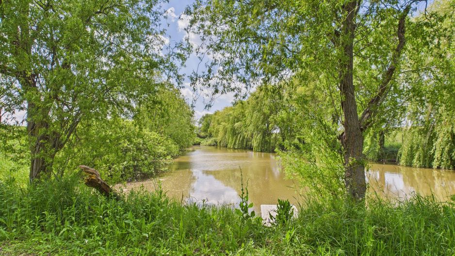 Teren cu baltă- oportunități multiple la Fibiș - Poză 2