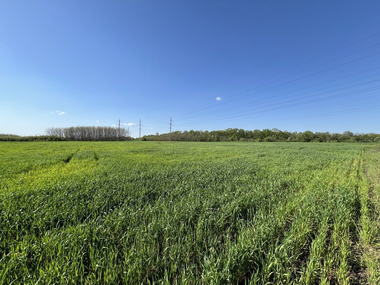 Teren agricol de 24 ari în Ghidighici – aproape de pădure, potrivit pentru investiție sau activitate agricolă - Poză 3