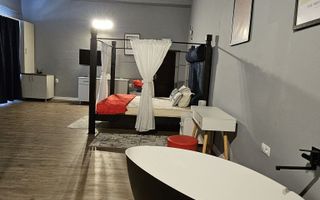 Garsoniera regim hotelier sau spatiu comercial 46 mp utili Terezian - Poză 5