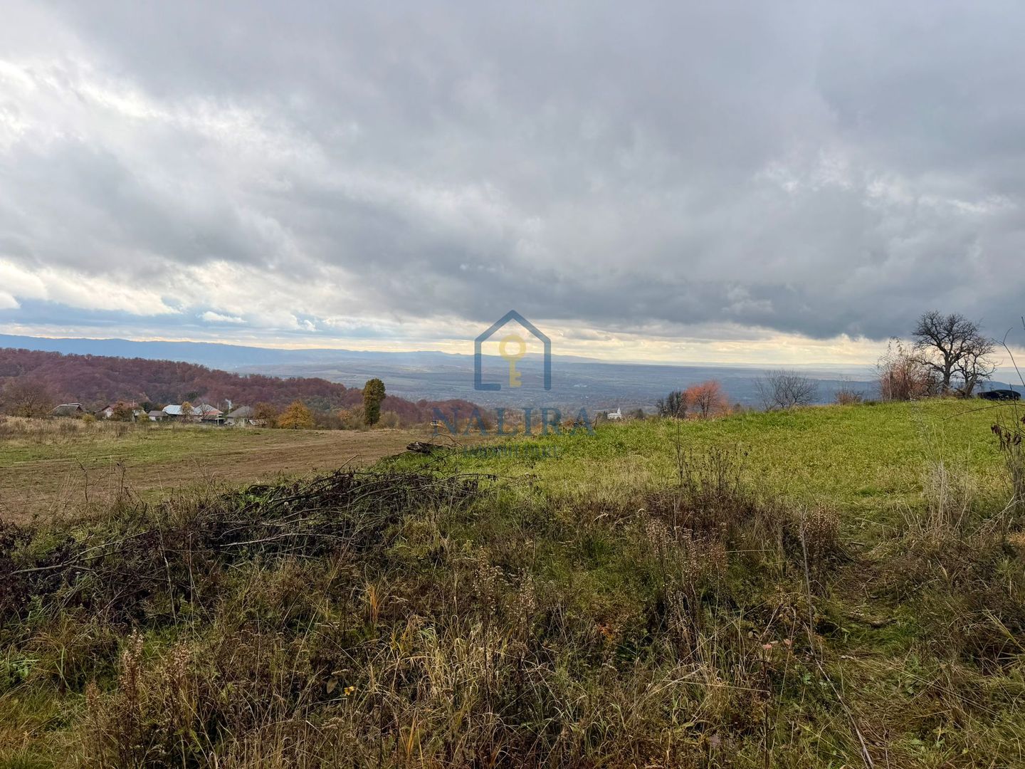 Teren Negreia - Poză 3