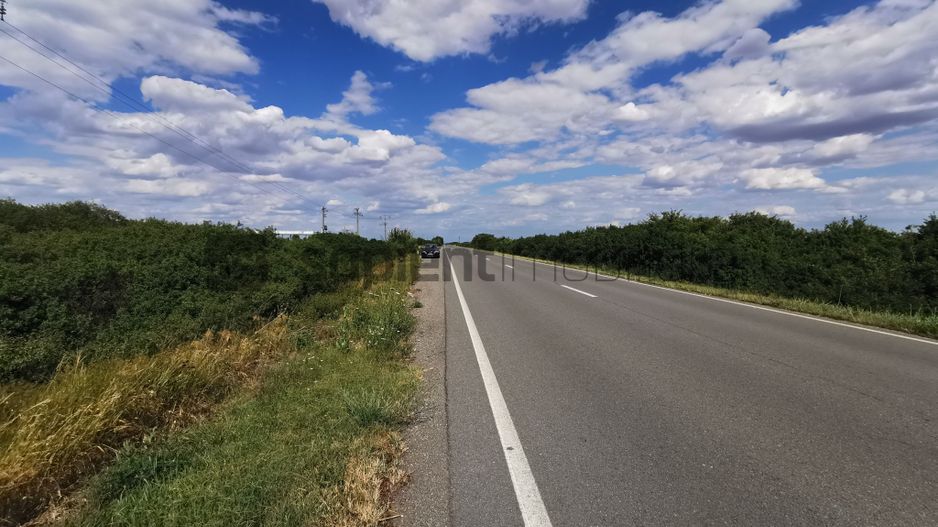 De vânzare teren extravilan, 11,600 mp, Salonta - Poză 8