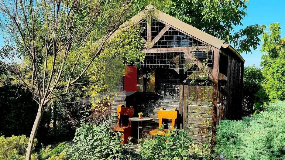 Vila cu gradina impresionanta | Prosumator | Tancabesti - Poză 11