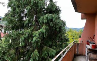 Oportunitate rară în Baia Mare – Apartament ultracentral 3 camere - 80 mp - Poză 3