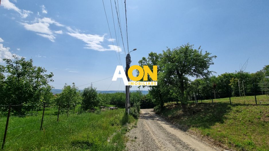 De vanzare 998 mp teren intravilan, Cetate - Poză 3