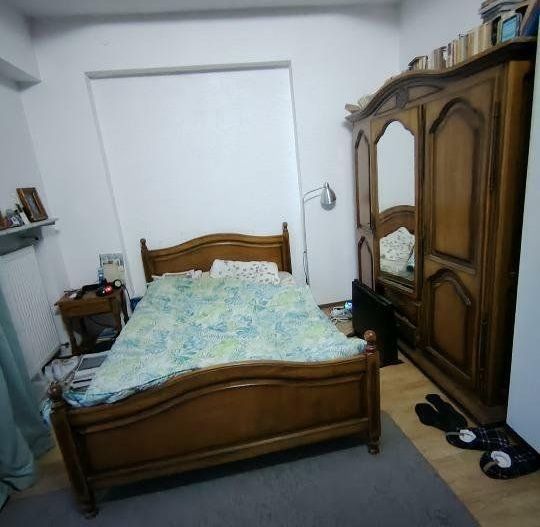 Apartament Armeneasca Carol - Poză 3