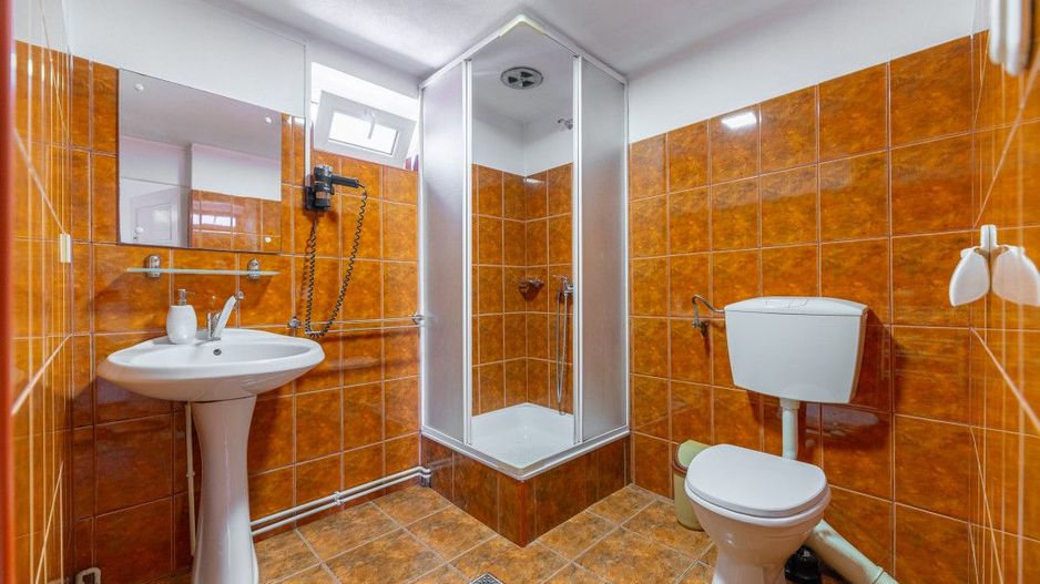 Casa + Pensiune deosebita - Orlat, Sibiu - Poză 35