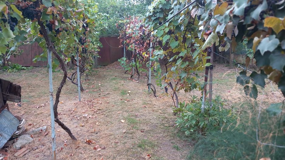 BRASADAS vinde casa 3 cam. zona Unirii teren 550mp. - Poză 6